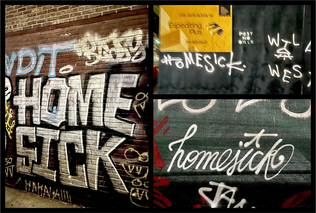 New York City Zip Code, Anthony Reid, Sincerely Sanguine, NYC transplants, gentrification pros and cons, gentrification